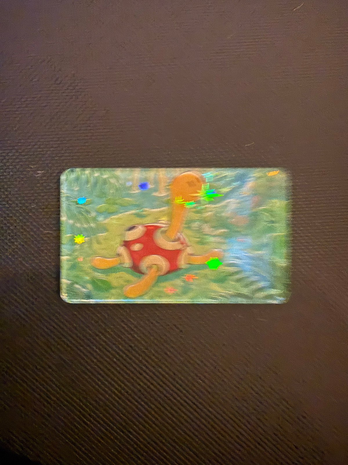 Pokémon Magnet - Choose Your Magnet