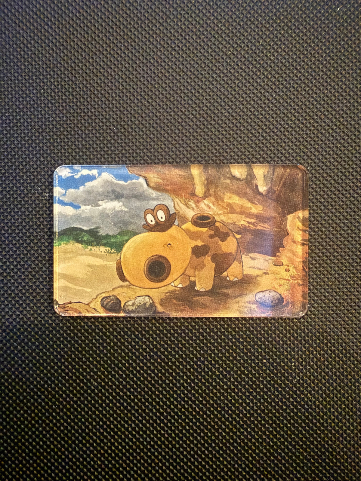 Pokémon Magnet - Choose Your Magnet
