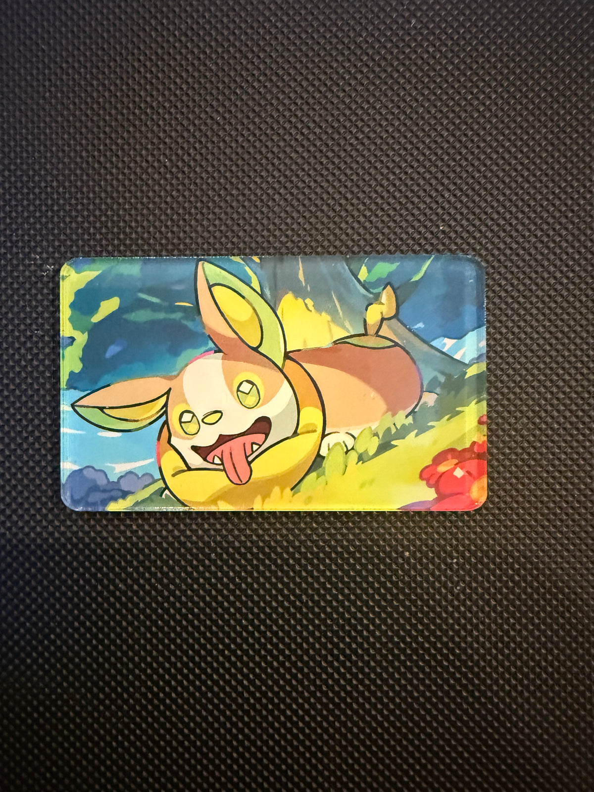 Pokémon Magnet - Choose Your Magnet