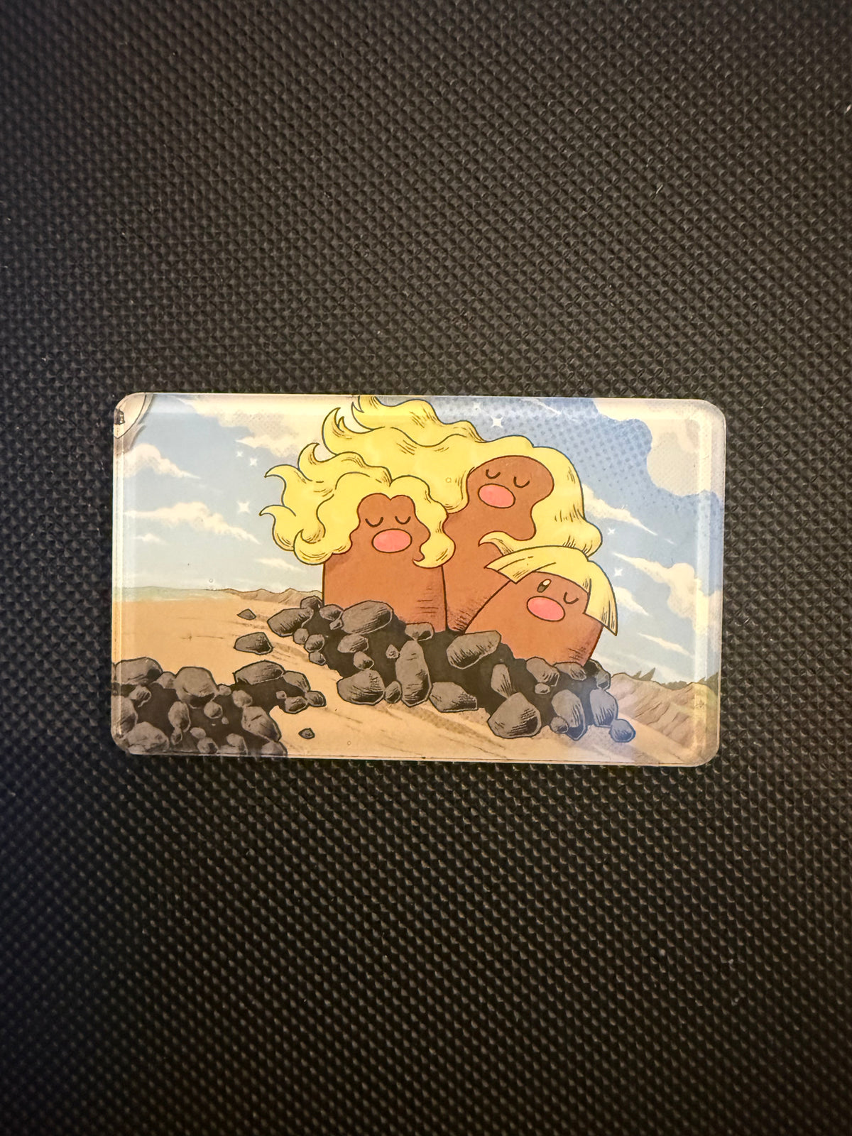 Pokémon Magnet - Choose Your Magnet