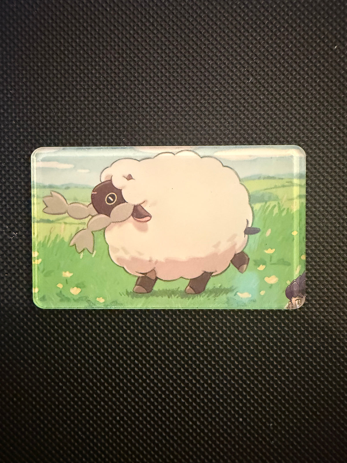Pokémon Magnet - Choose Your Magnet