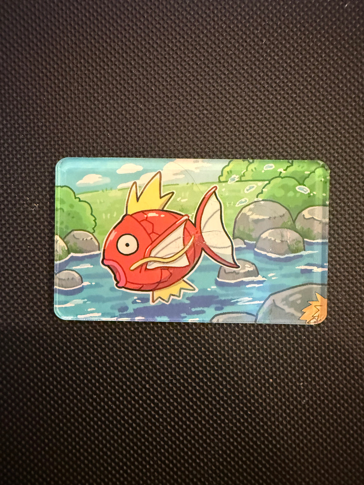 Pokémon Magnet - Choose Your Magnet