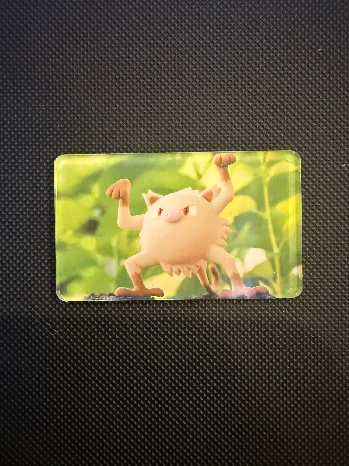 Pokémon Magnet - Choose Your Magnet