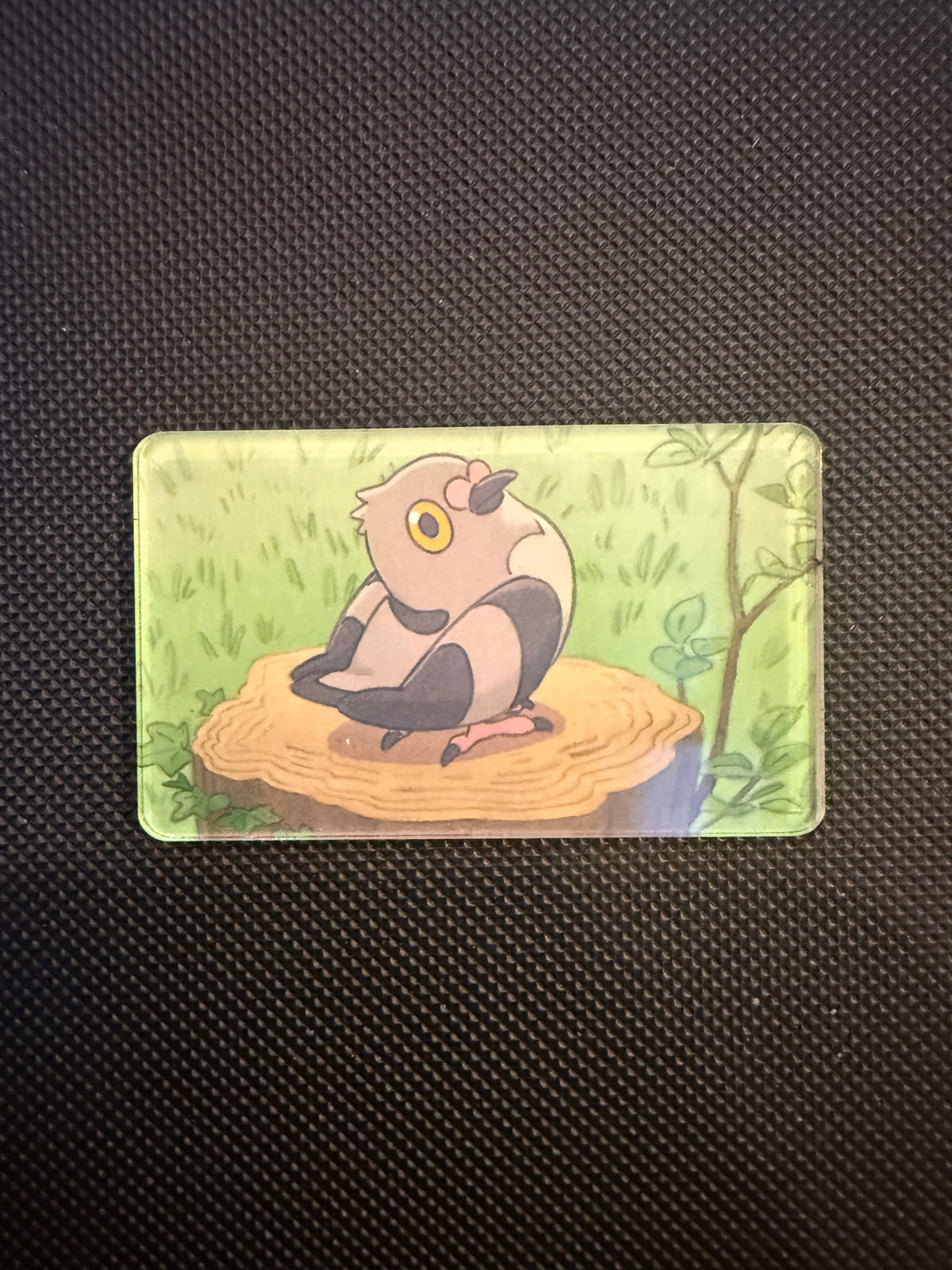 Pokémon Magnet - Choose Your Magnet
