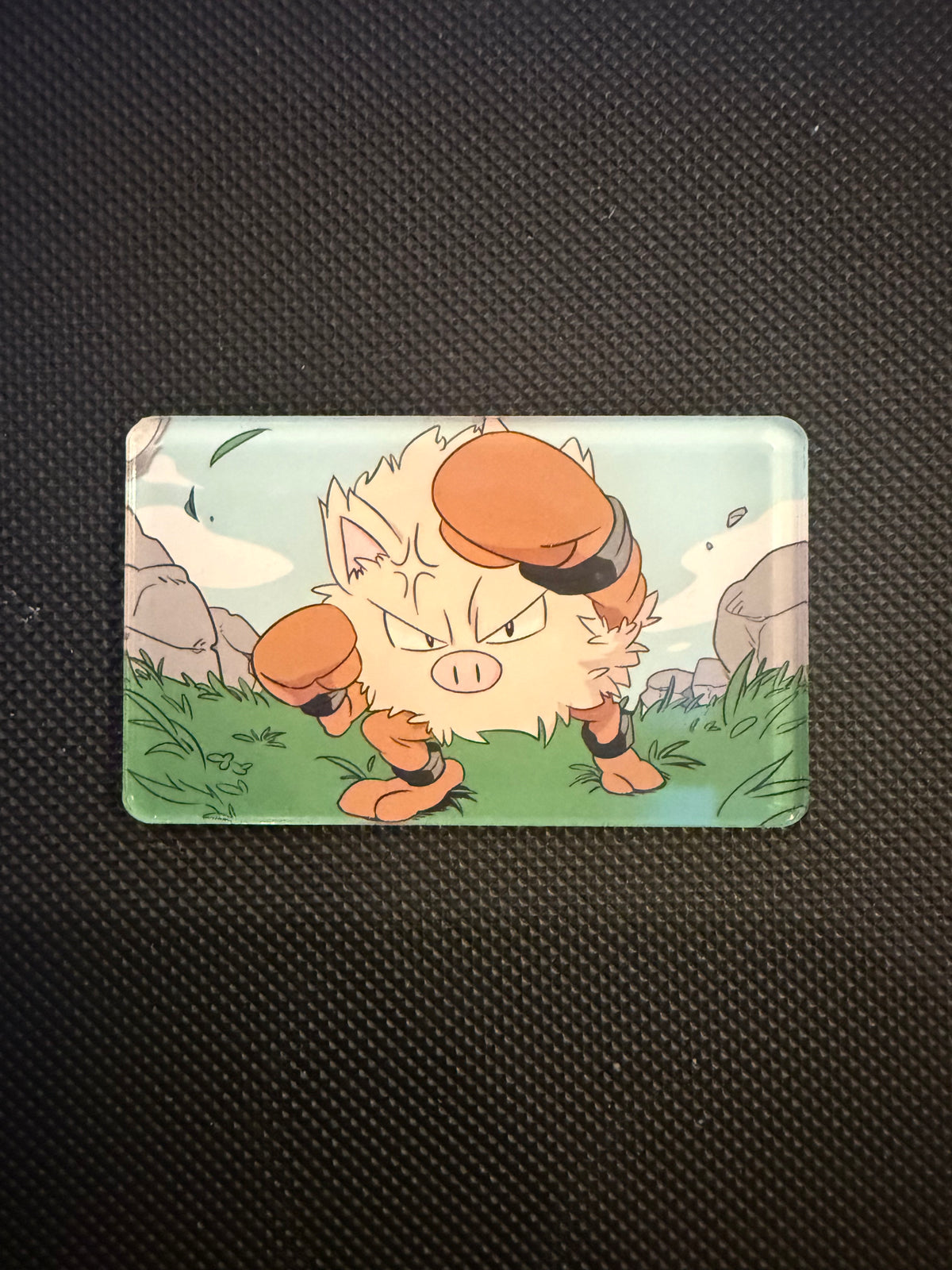 Pokémon Magnet - Choose Your Magnet