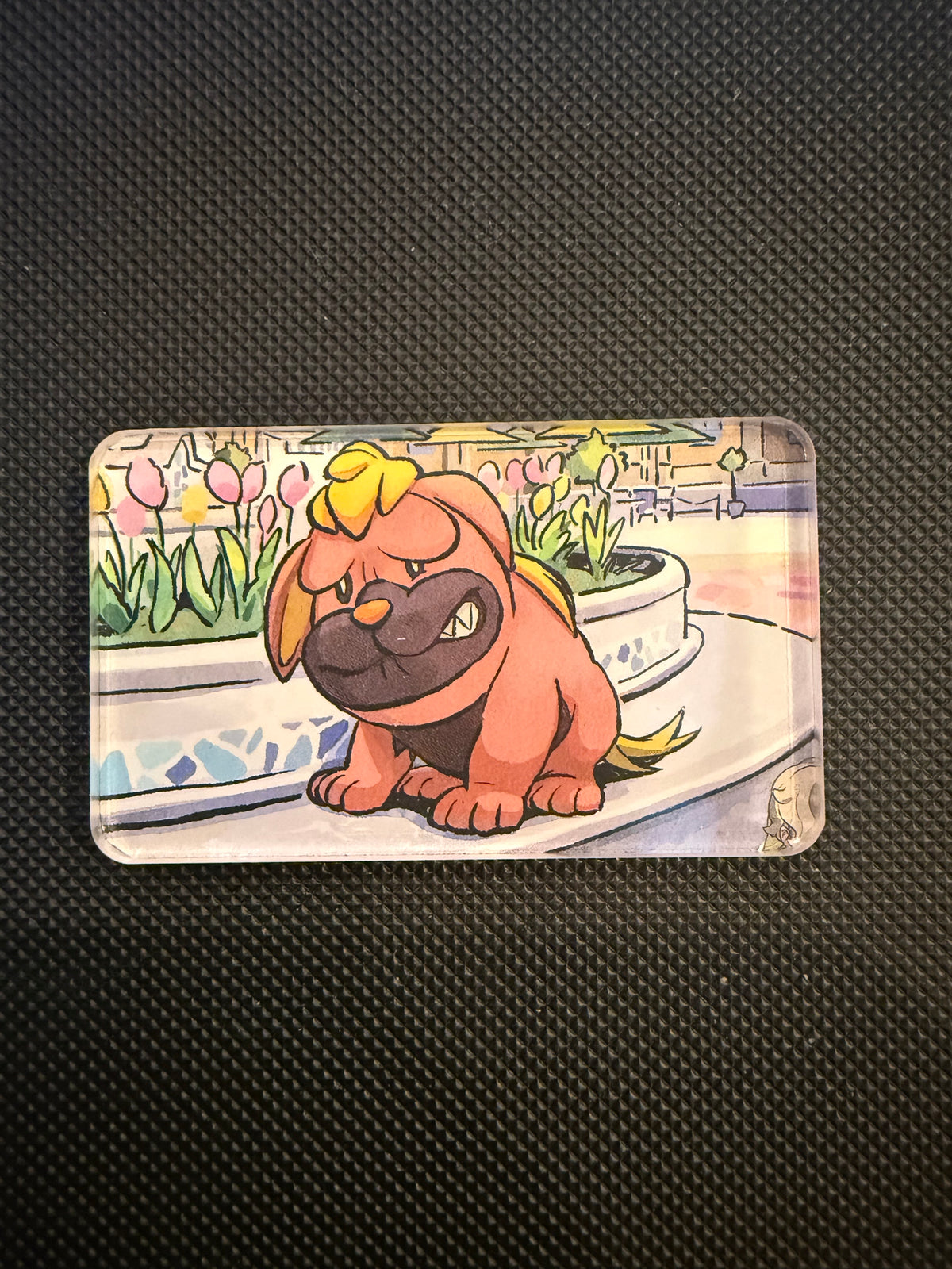 Pokémon Magnet - Choose Your Magnet