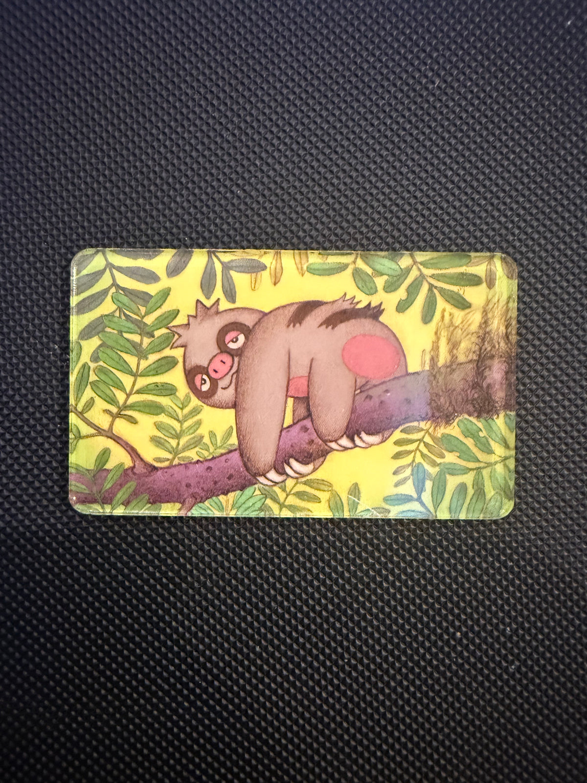 Pokémon Magnet - Choose Your Magnet