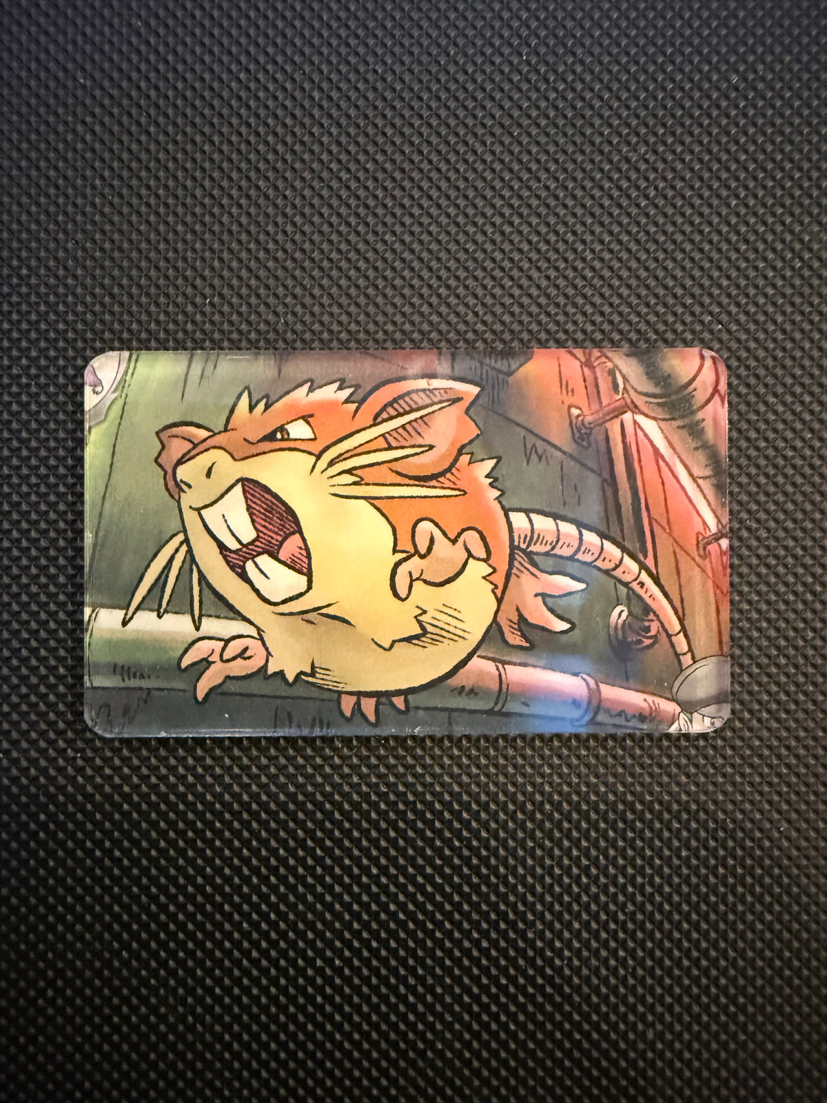 Pokémon Magnet - Choose Your Magnet