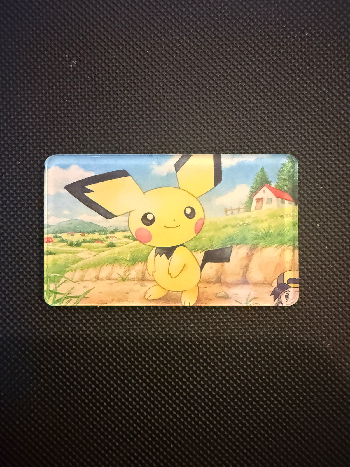 Pokémon Magnet - Choose Your Magnet