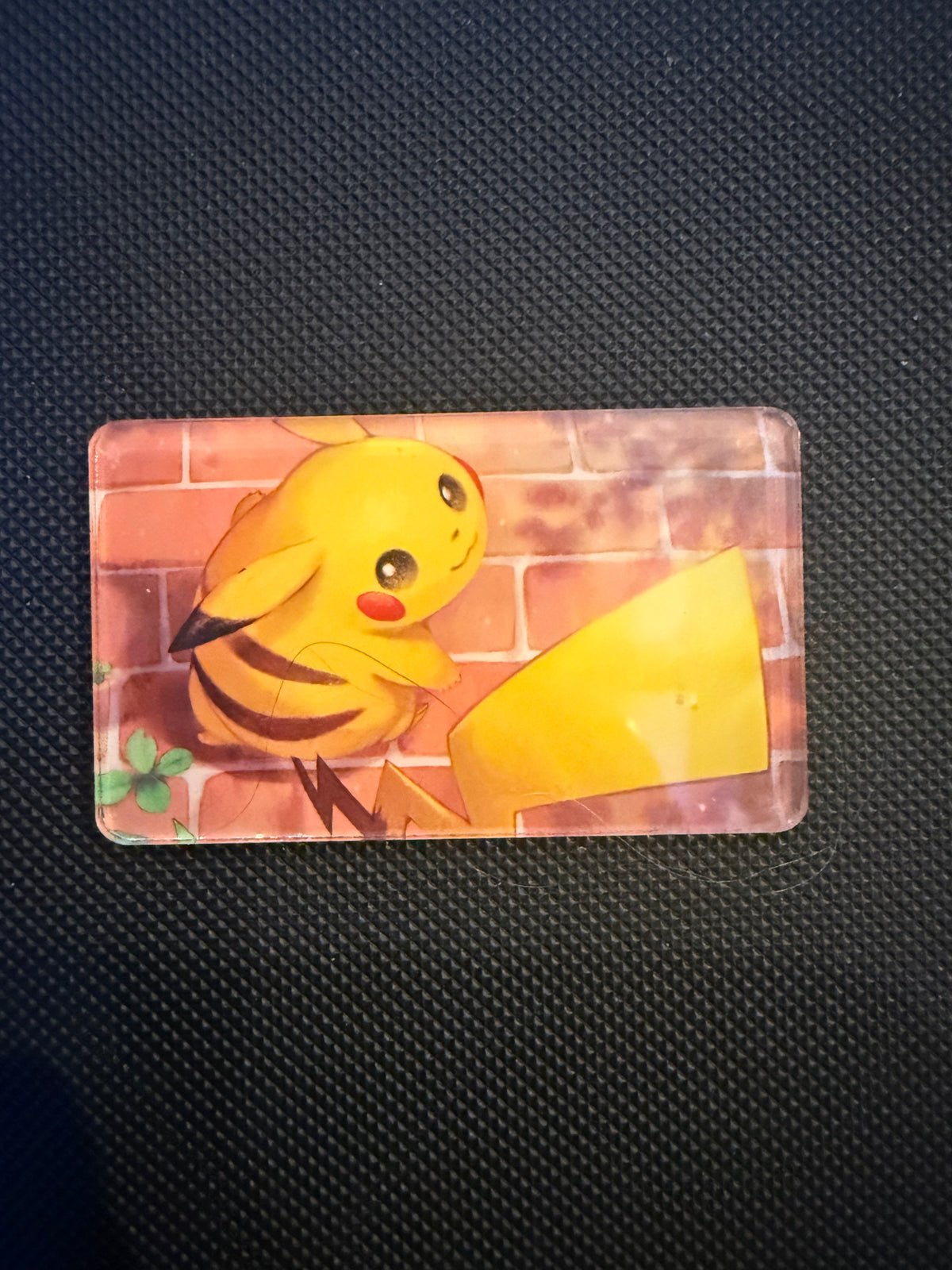 Pokémon Magnet - Choose Your Magnet