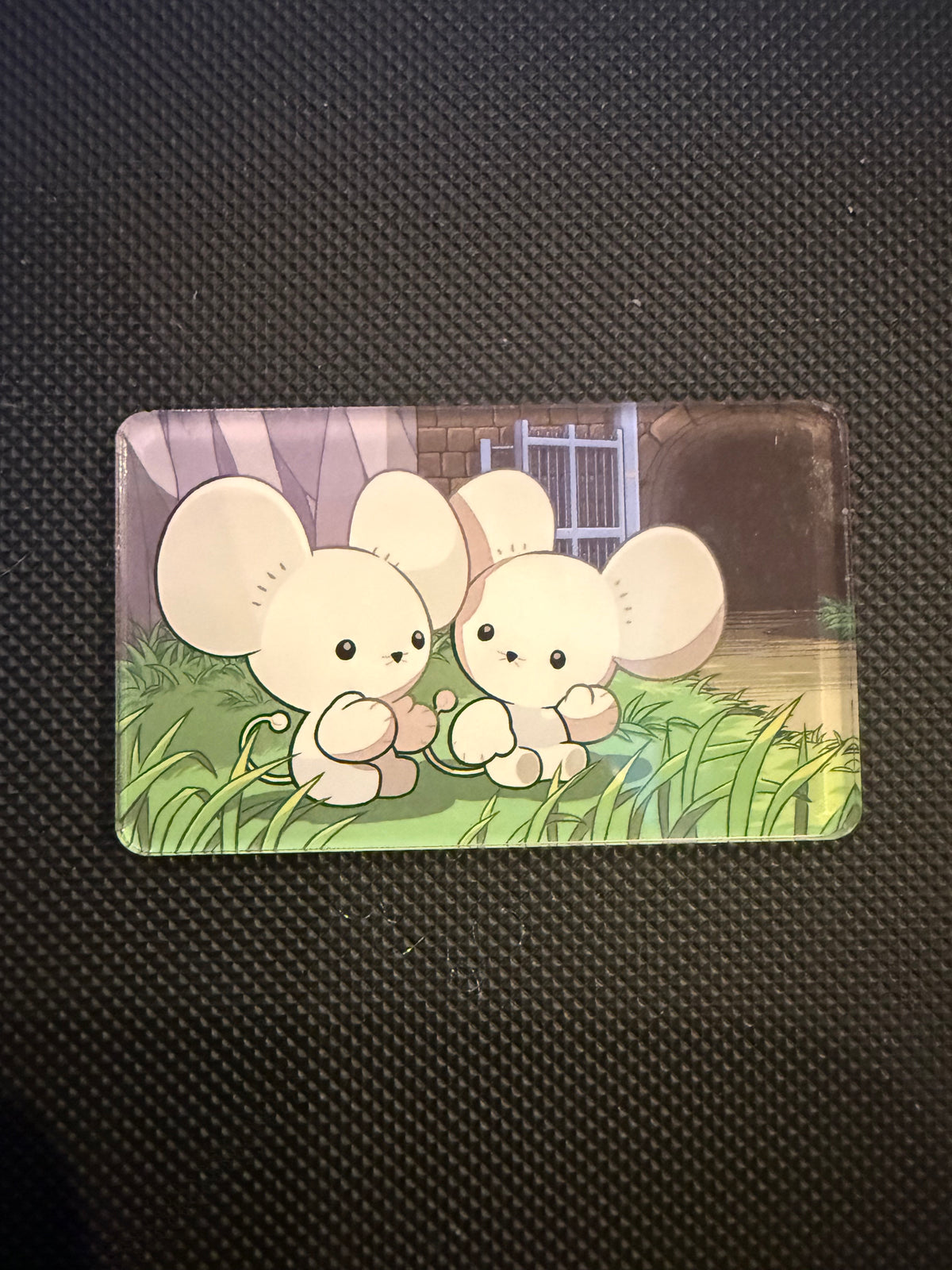 Pokémon Magnet - Choose Your Magnet