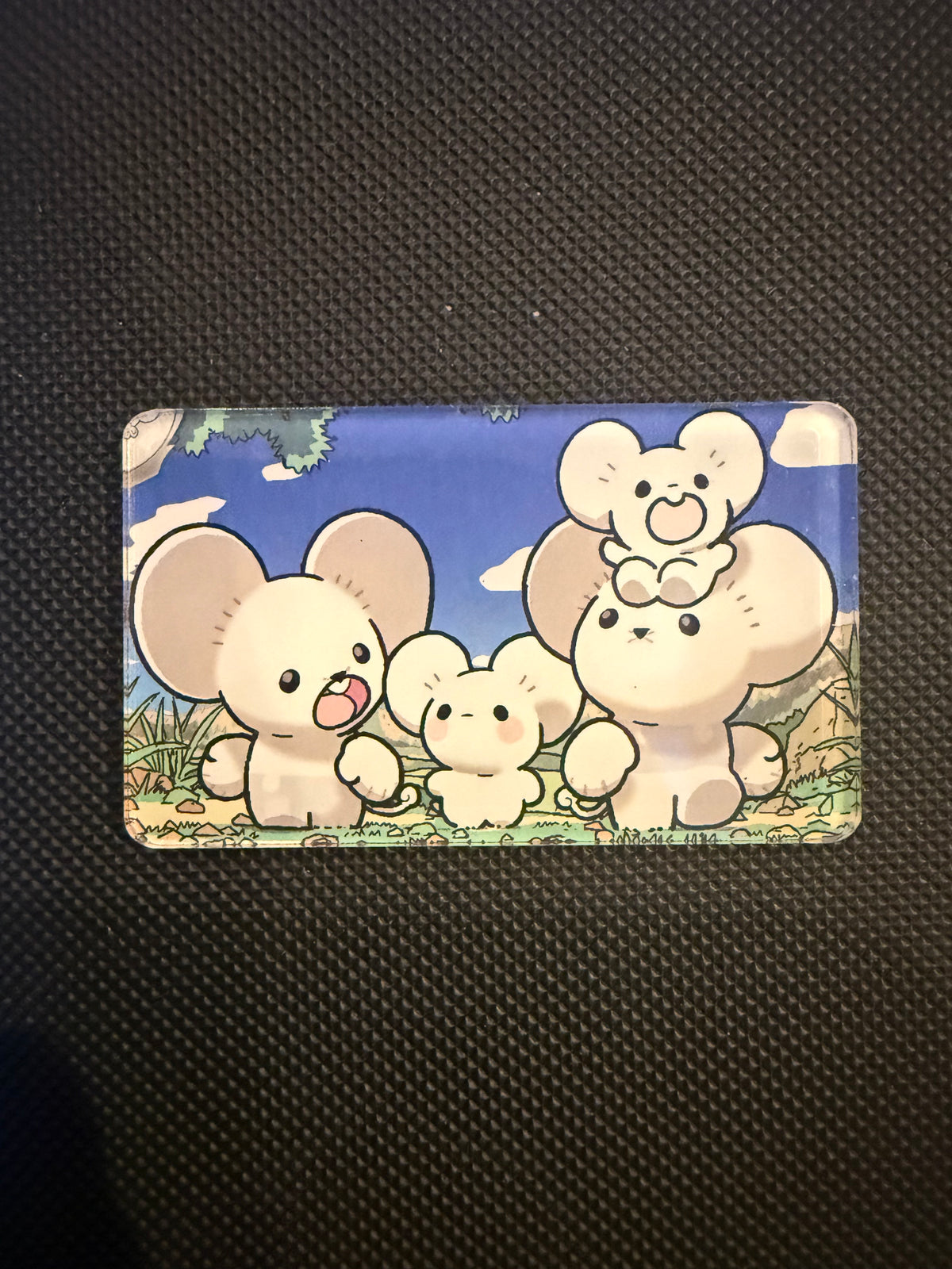 Pokémon Magnet - Choose Your Magnet
