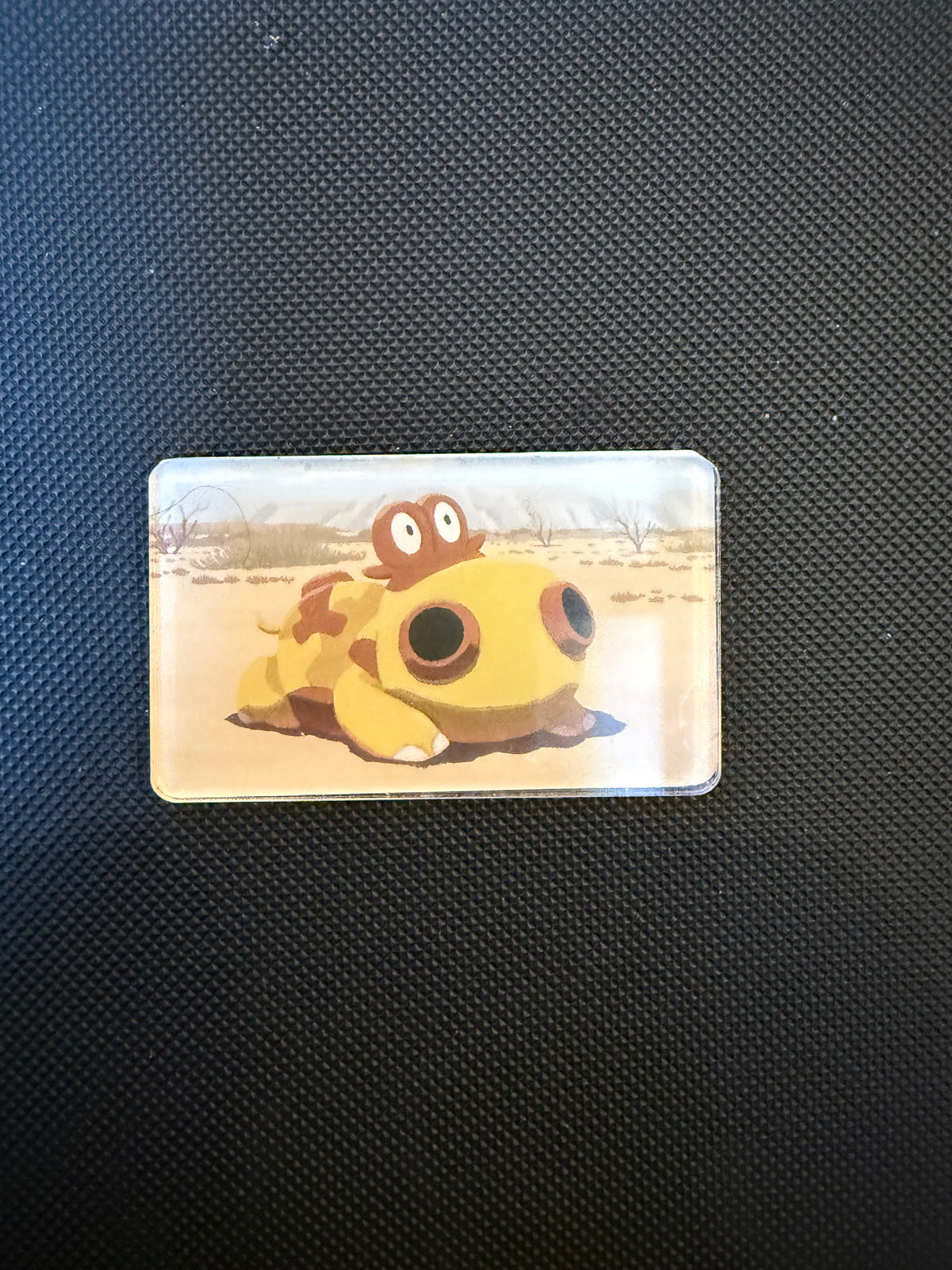 Pokémon Magnet - Choose Your Magnet
