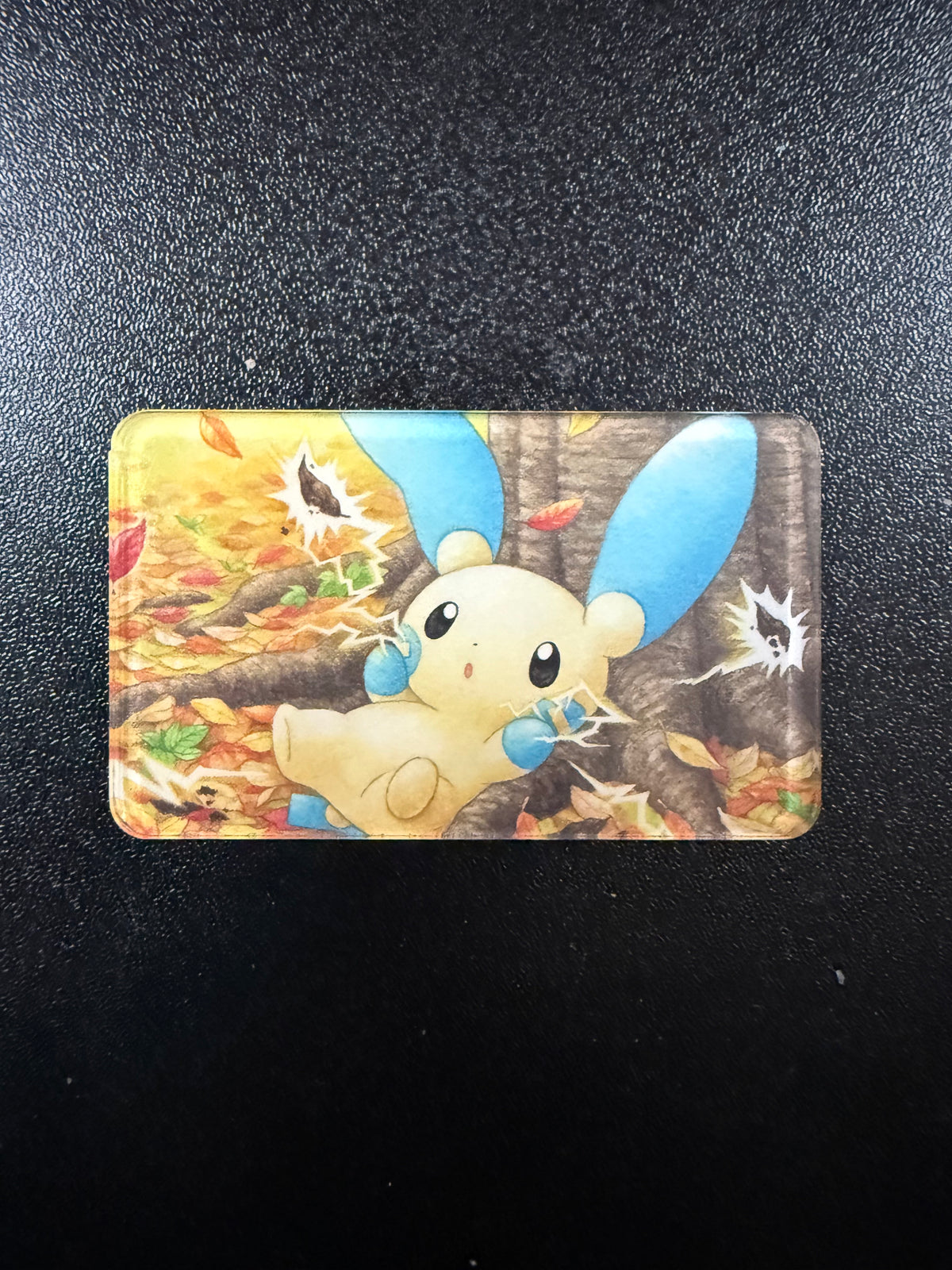 Minun magnet