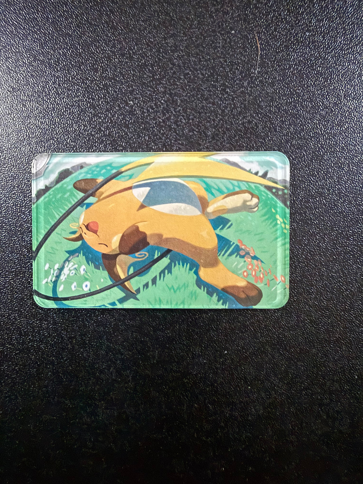 Raichu magnet