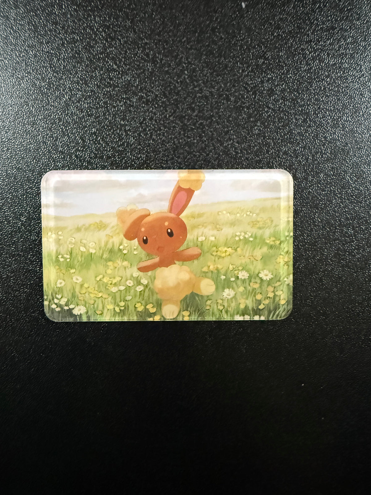 Buneary magnet - 1