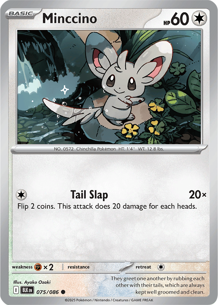 Black Bolt 075/086 Minccino